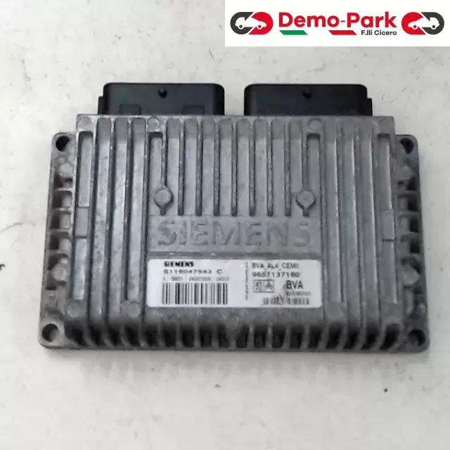 CENTRALINA MOTORE Peugeot 206 SIEMENS S118047543 C 0