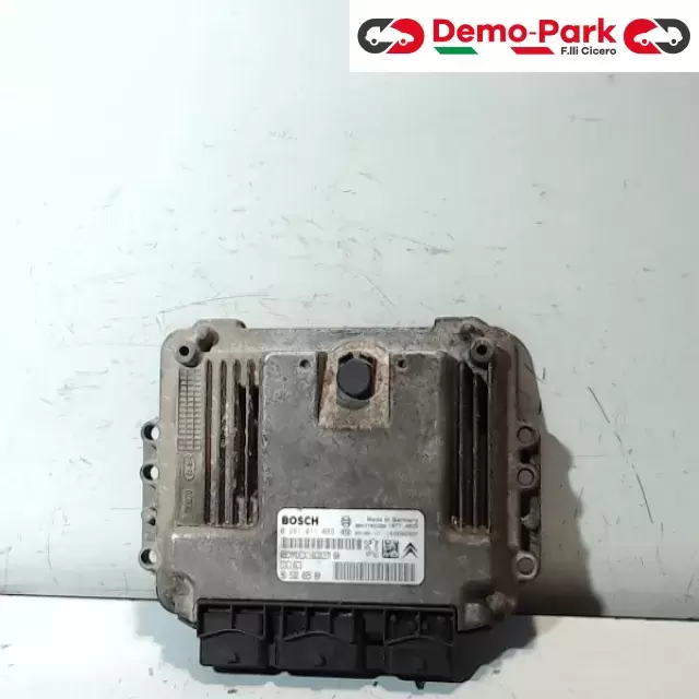 CENTRALINA MOTORE Peugeot 206 1.4 HDI 96 532 025 80 0