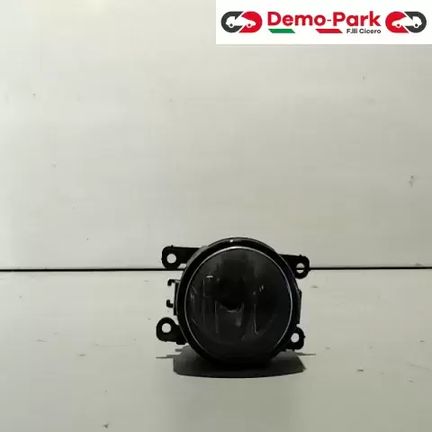 FARETTO FENDINEBBIA SX Peugeot 307  0